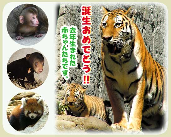 上野動物園、多摩動物公園