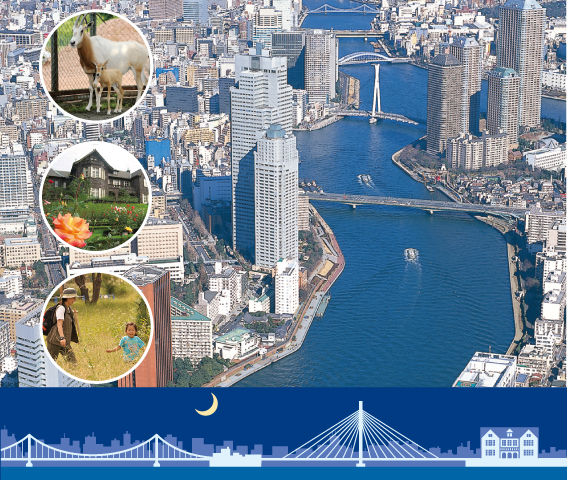 表紙　 勝鬨橋上空から隅田川を眺む
