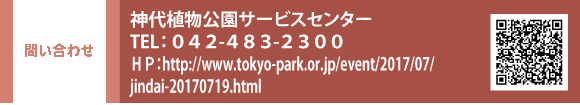 ₢킹@_AT[rXZ^[ TELFOSQ-SWR-QROO@HPFhttp://www.tokyo-park.or.jp/event/2017/07/jindai-20170719.html