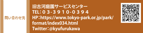 問い合わせ先 旧古河庭園サービスセンター TEL：０３-３９１０-０３９４　HP：https://www.tokyo-park.or.jp/park/format/index034.html　Twitter：@kyufurukawa