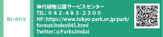 問い合わせ 神代植物公園サービスセンター TEL：０４２-４８３-２３００　HP：https://www.tokyo-park.or.jp/park/format/index045.html　Twitter：@ParksJindai