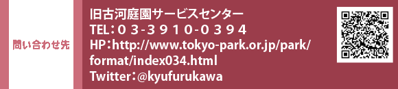 問い合わせ先 旧古河庭園サービスセンター TEL：０３-３９１０-０３９４　HP：http://www.tokyo-park.or.jp/park/format/index034.html　Twitter：@kyufurukawa