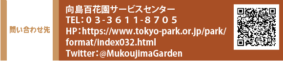 問い合わせ先　向島百花園サービスセンター TEL：０３-３６１１-８７０５　HP：https://www.tokyo-park.or.jp/park/format/index032.html Twitter：@MukoujimaGarden