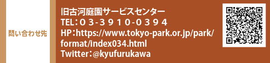 問い合わせ先 旧古河庭園サービスセンター TEL：０３-３９１０-０３９４　HP：https://www.tokyo-park.or.jp/park/format/index034.html　Twitter：@kyufurukawa