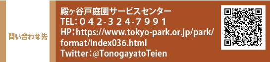 問い合わせ先 殿ヶ谷戸庭園サービスセンター TEL：０４２-３２４-７９９１　HP：https://www.tokyo-park.or.jp/park/format/index036.html　Twitter：@TonogayatoTeien