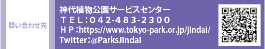 問い合わせ先　神代植物公園サービスセンター TEL：０４２-４８３-２３００　HP：https://www.tokyo-park.or.jp/jindai/　Twitter：@ParksJindai