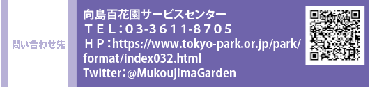 問い合わせ先 向島百花園サービスセンター　TEL：０３-３６１１-８７０５　HP：https://www.tokyo-park.or.jp/park/format/index032.html　Twitter：@MukoujimaGarden