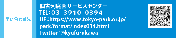 問い合わせ先 　旧古河庭園サービスセンター TEL：０３-３９０１-０３９４　HP：https://www.tokyo-park.or.jp/park/format/index034.html　Twitter：@kyufurukawa