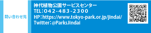 問い合わせ先　神代植物公園サービスセンター TEL：０４２-４８３-２３００　HP：https://www.tokyo-park.or.jp/jindai/　Twitter：@ParksJindai