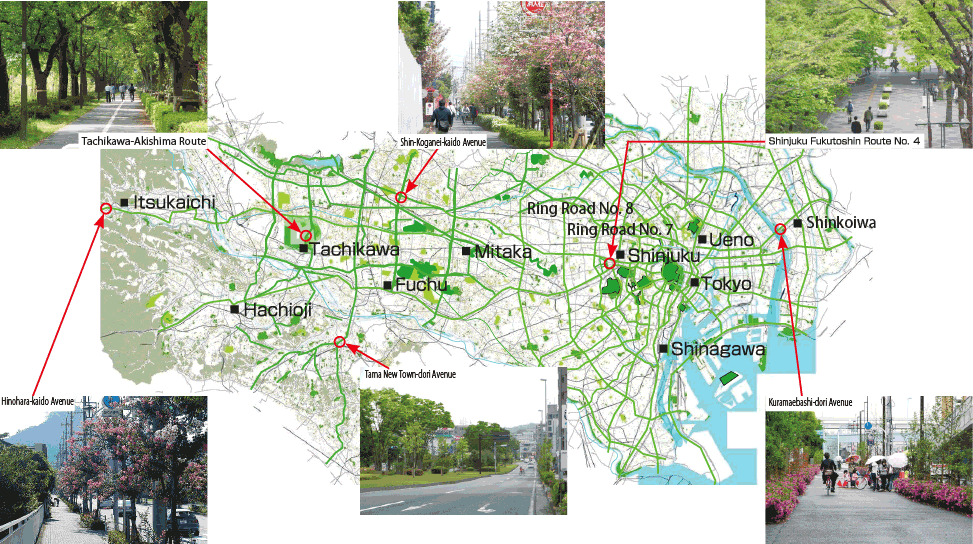 Major Green Road Networks