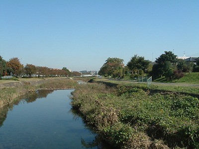 南浅川の写真