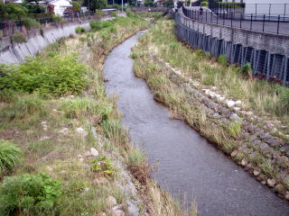 用語の説明　調節池付近の霞川の写真