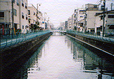 新田橋から下流の写真