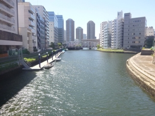 日本橋川・亀島川流域連絡会　水門に守られている亀島川の写真