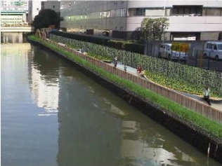 亀島川緑化整備後（イメージ）の写真