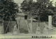 品川神社（品川区北品川3-7）の写真