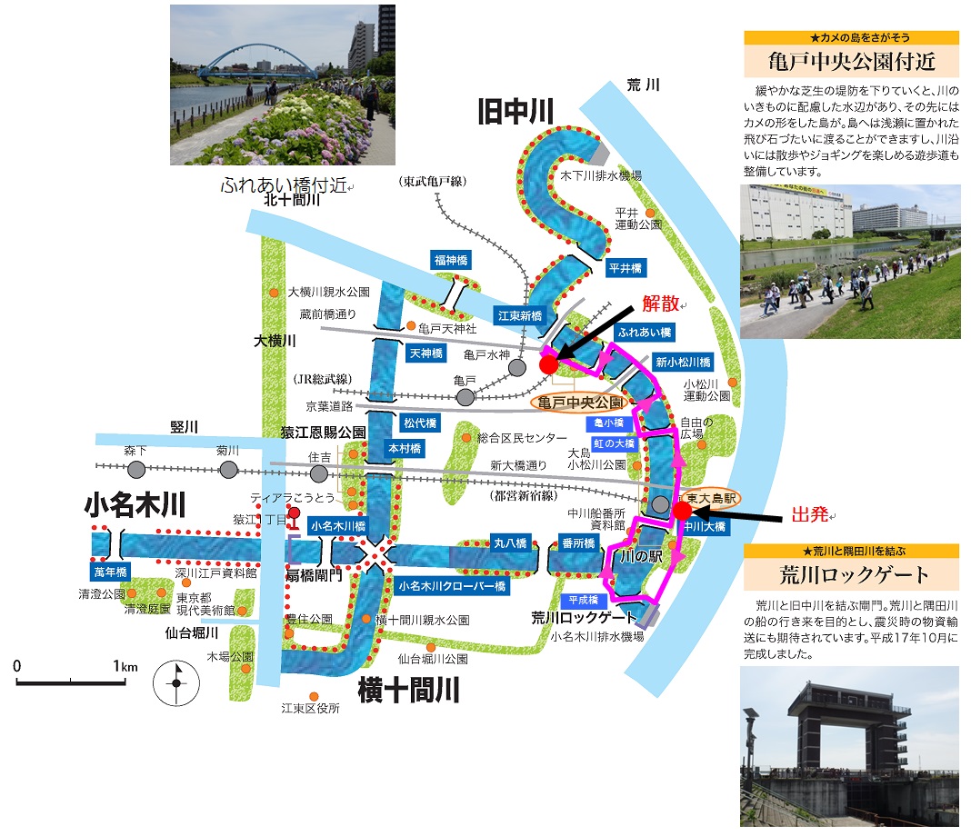 「旧中川を歩こう」散策ルート図（予定）