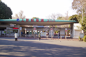 Image of Ueno Zoo