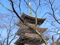 旧寛永寺五重塔の画像
