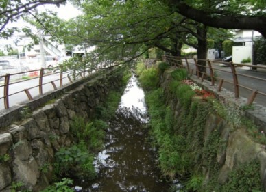 丸子川の写真(尾山橋上流)