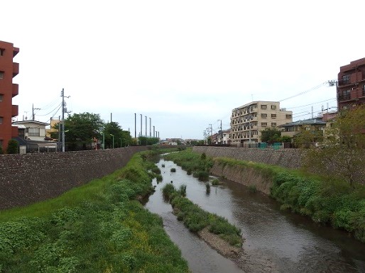 野川の写真(吉澤橋上流)