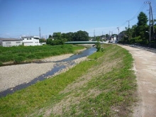 平井川の写真