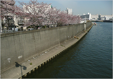 特殊堤タイプ（特殊堤：一部もしくは全部をコンクリート擁壁でつくった堤防）
