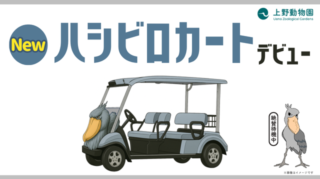 サンプル