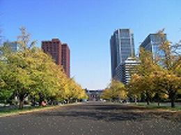 写真 秋の行幸通り