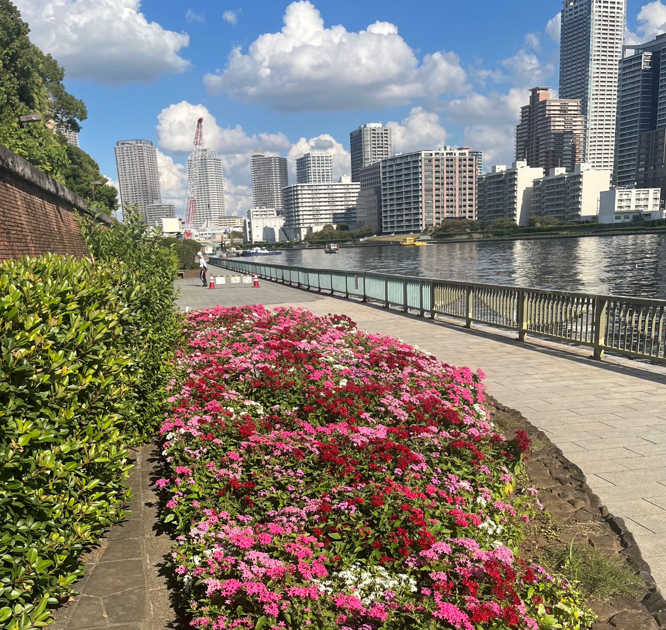 写真　河川管理
