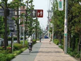自転車通行帯の整備状況