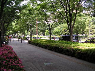 街路樹の整備状況