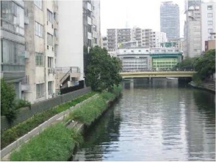 第六期　亀島川整備後の写真