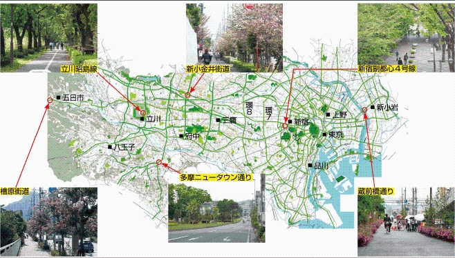 主なグリーンロード・ネットワーク 立川昭島線 新小金井街道 新宿副都心4号線 槍原街道 多摩ニュータウン通り 蔵前橋通り