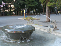 蛙の噴水の画像