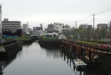 内川の写真(内川水門上流)