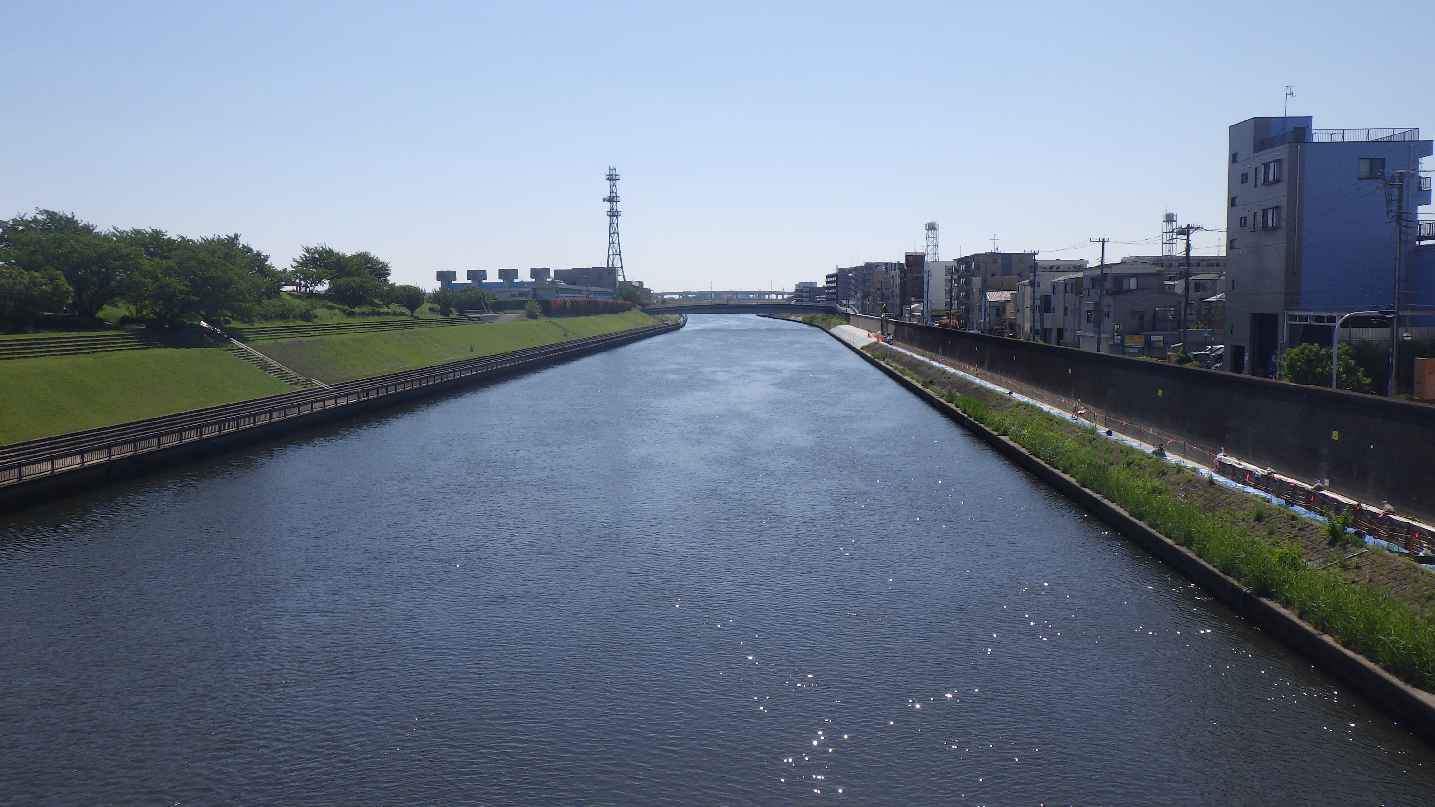 新河岸川の画像