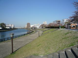 新河岸川