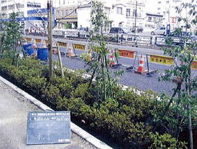 歩道及び植樹帯整備(都施工)の写真
