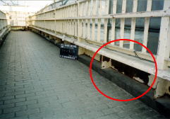 歩道橋のサビ