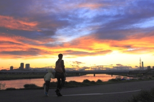 風景部門河川部長賞「雨上がりの夕焼け」の写真