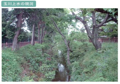 玉川上水の現況の写真