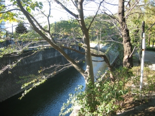 現場調査行程の写真3