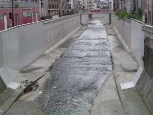 現場調査行程の写真2