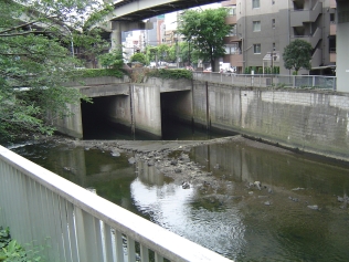 現場調査行程の写真10