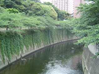 現場調査行程の写真8