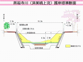 善福寺川（済美橋上流）護岸標準断面図