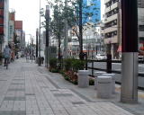商店街により整備された植栽