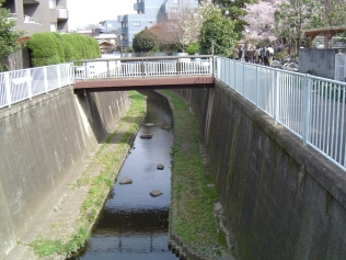 現場調査行程の写真6