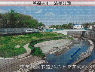 善福寺川　済美公園のイメージ